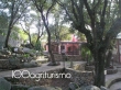Azienda Agrituristica Li Licci, in Sardegna