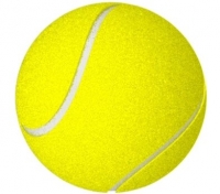 pallina da tennis torino