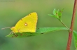 Photonaturatour: workshop di macrofotografia nel Parco Nazionale dell�Appennino Tosco-Emiliano