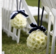 Notizie sul matrimonio, rassegna stampa
