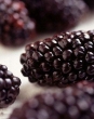 Tempo di conserve e confetture. Marmellata di More alla Cannella