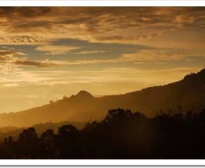 Nuova Guinea: Papua Occidentale e 12 anni di vita vissuta nella giungla ... 