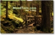 MoodTurn - Rilassarsi con suoni ed immagini della natura