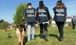Brescia - maltrattamenti ai cani 