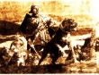 I cani da guerra