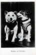 Belka e Strelka