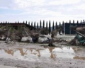 Quinta vittima in Maremma, ritrovato corpo in lago