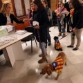 Elezioni,polls:CiU cala, ma indipendentisti aumentano