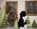 Le famiglie tagliano anche su alberi Natale, acquisti -15%