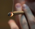 Gdf sequestra oltre 400 chili di marijuana su un gommone