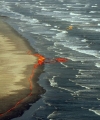 Per Bp stop Usa contratti pubblici dopo disastro Golfo
