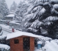 NEVE IN ARRIVO: fino a che quota si spinger� ?  ()