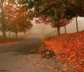 Novembre ancora sotto il segno dell'Atlantico ()