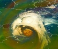 Vortice sul Nord Africa: maltempo in Algeria, oltre 100mm di pioggia ()