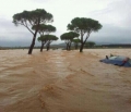 Maltempo Toscana, Lazio, Umbria, Marche: tutti i dati ()