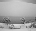 E' ARRIVATA LA NEVE e al Nord, fino a 15cm in pianura ()