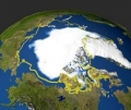 Le foreste potrebbero tornare in Artico entro fine secolo ()