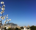 Meteo Palermo: fine settimana bello e mite! ()